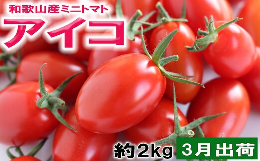 ［2027年3月出荷分］和歌山産ミニトマト「アイコトマト」約2kg（M・Lサイズおまかせ） ［TM262］