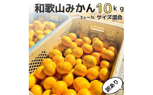 【訳あり】和歌山みかん 約9.5kg+補償分約500g サイズ混合 11月より順次発送 訳ありみかん 【red1】