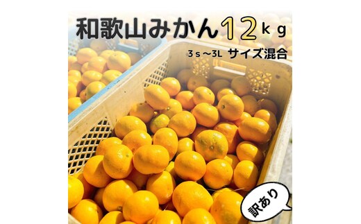 【訳あり】和歌山みかん約11kg+補償分約1kg サイズ混合 11月より順次発送 訳ありみかん 【red2】