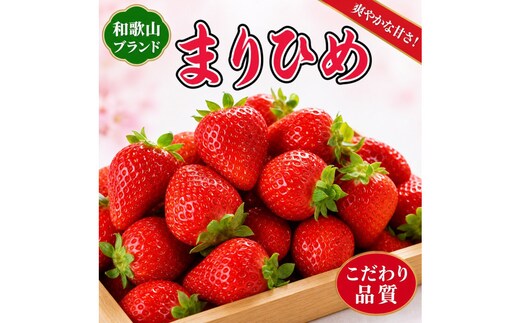 紀州和歌山ブランドいちご「まりひめ」約250g×4P ［2027年3月上旬頃～3月下旬頃に順次発送］［UT39］