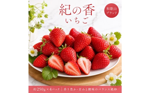 紀州和歌山ブランドいちご「紀の香」約250g×4P ［UT143］