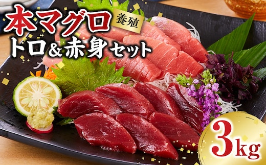 本マグロ（養殖）トロ＆赤身セット 3kg［KS14］