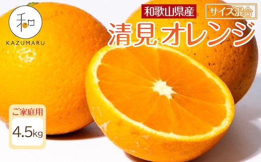 家庭用 森本農園の手選別 清見オレンジ 4.5kg 和歌山県産 サイズ混合 ［北海道・沖縄・離島配送不可］［2027年2月上旬から順次発送予定］［RN22］