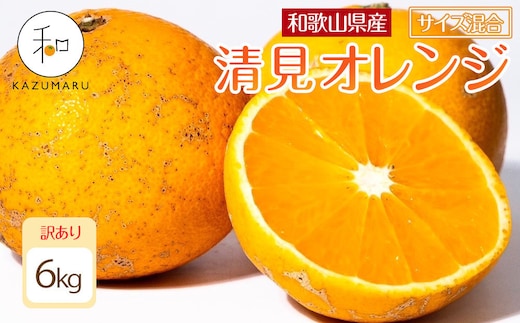 訳あり 森本農園の手選別 清見オレンジ 6kg 和歌山県産 サイズ混合 ［北海道・沖縄・離島配送不可］［2027年2月上旬から順次発送予定］［RN24］