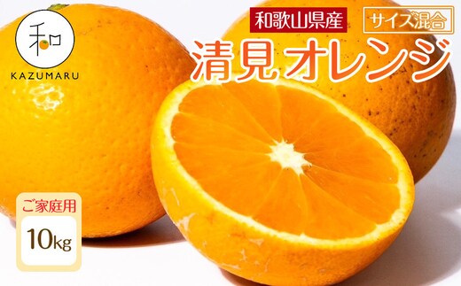 家庭用 森本農園の手選別 清見オレンジ 10kg 和歌山県産 サイズ混合 ［北海道・沖縄・離島配送不可］［2027年2月上旬から順次発送予定］［RN39］