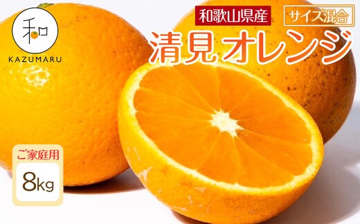 家庭用 森本農園の手選別 清見オレンジ 約8kg 和歌山県産 サイズ混合 ［北海道・沖縄・離島配送不可］［2027年2月上旬から順次発送予定］［RN48］