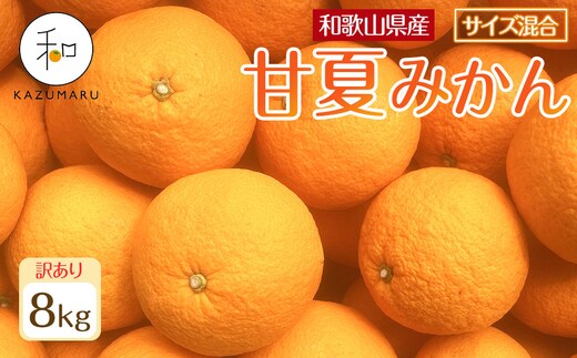 訳あり 森本農園の手選別 甘夏みかん 約8kg 和歌山県産 サイズ混合 ［北海道・沖縄・離島配送不可］［2027年4月上旬から順次発送］［RN75］
