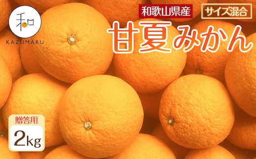 贈答用 森本農園の手選別 甘夏みかん 約2kg 和歌山県産 サイズ混合 ［北海道・沖縄・離島配送不可］［2027年4月上旬から順次発送］［RN77］