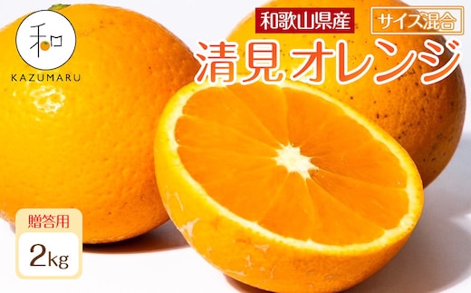 贈答用 森本農園の手選別 厳選清見オレンジ 約2kg 和歌山県産 サイズ混合 ［北海道・沖縄・離島配送不可］［2027年2月上旬から順次発送予定］［RN88］