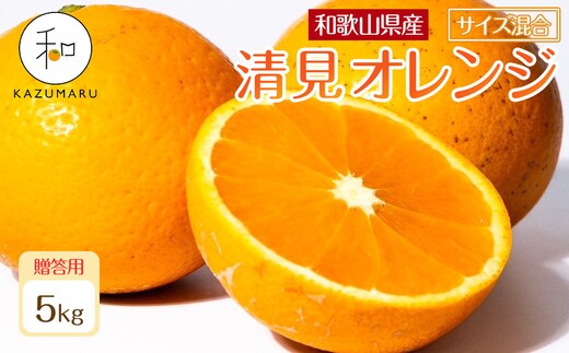 贈答用 森本農園の手選別 厳選清見オレンジ 約5kg 和歌山県産 サイズ混合 ［北海道・沖縄・離島配送不可］［2027年2月上旬から順次発送予定］［RN89］