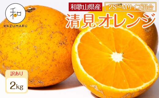 訳あり 森本農園の手選別 小粒清見オレンジ 約2kg 和歌山県産 2S～Mサイズ混合 ［北海道・沖縄・離島配送不可］［2027年2月上旬から順次発送予定］［RN96］