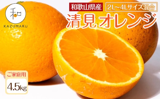 家庭用 森本農園の手選別 大玉清見オレンジ 約4.5kg 和歌山県産 2L~4Lサイズ混合 ［北海道・沖縄・離島配送不可］［2027年2月上旬から順次発送予定］［RN100］