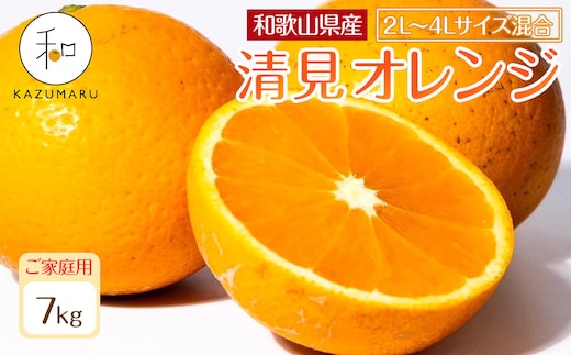 家庭用 森本農園の手選別 大玉清見オレンジ 約7kg 和歌山県産 2L~4Lサイズ混合 ［北海道・沖縄・離島配送不可］［2027年2月上旬から順次発送予定］［RN101］