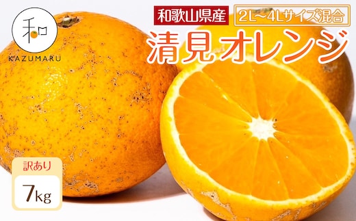 訳あり 森本農園の手選別 大玉清見オレンジ 約7kg 和歌山県産 2L~4Lサイズ混合 ［北海道・沖縄・離島配送不可］［2027年2月上旬から順次発送予定］［RN103］