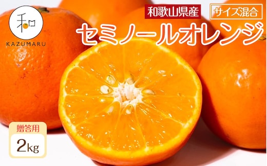 贈答用 森本農園の手選別 厳選セミノールオレンジ 約2kg 和歌山県産 サイズ混合 ［北海道・沖縄・離島配送不可］［2027年4月中旬から順次発送］［RN110］