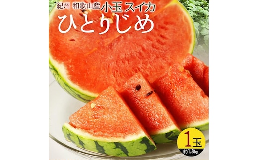 紀州和歌山産 小玉スイカ「ひとりじめ」 1玉［2027年6月中旬頃～2027年7月上旬頃に順次発送］［UT85］