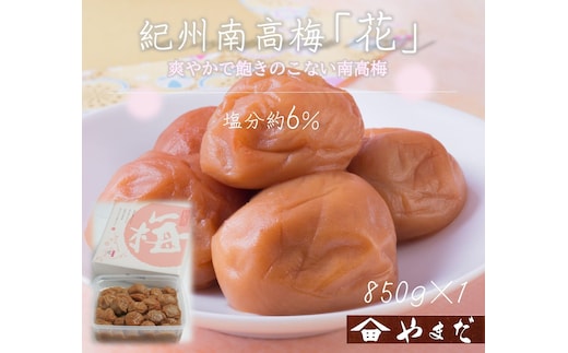 【定期便・2ヵ月毎 全5回】紀州南高梅 「花」 850g ［YM8］