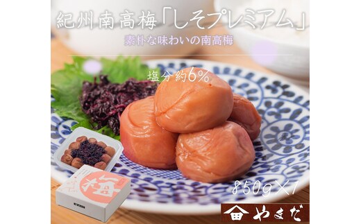 【定期便・3ヵ月毎 全3回】紀州南高梅 しそプレミアム 850g ［YM14］