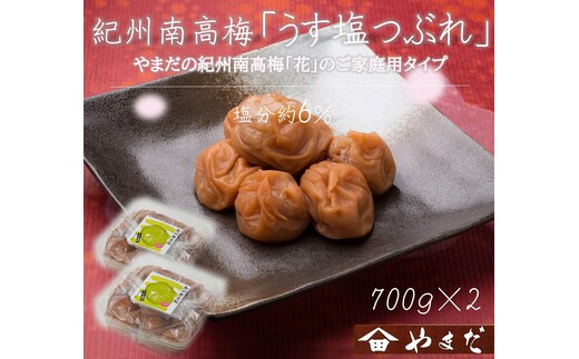 【定期便・2ヵ月毎 全5回】ご家庭用 紀州南高梅 うす塩 つぶれ 700g×2 ［YM15］