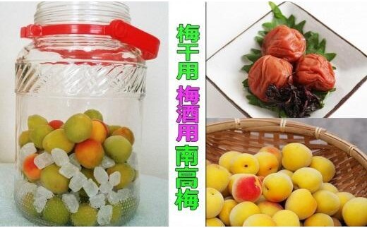 ［梅干・梅酒用］（3Lまたは2L－2Kg）熟南高梅＜2027年6月上旬～7月中旬発送予定＞フルーツ 果物 くだもの 食品 人気 おすすめ 送料無料［ART06］