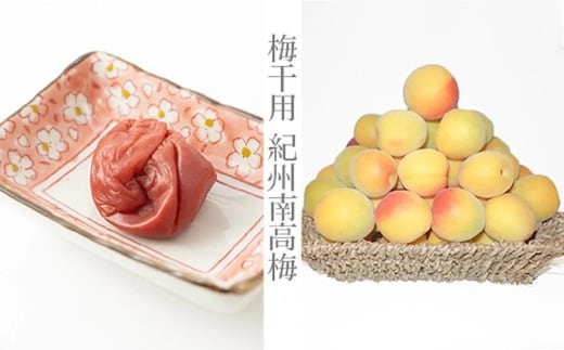 ［梅干・梅酒用］（2LまたはL－2Kg）熟南高梅＜2027年6月上旬～7月中旬発送予定＞フルーツ 果物 くだもの 食品 人気 おすすめ 送料無料［ART04］