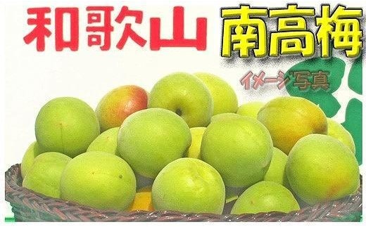 ［梅干・梅酒用］（LまたはM－10Kg）熟南高梅＜2027年6月上旬～7月中旬発送予定＞フルーツ 果物 くだもの 食品 人気 おすすめ 送料無料［ART08］