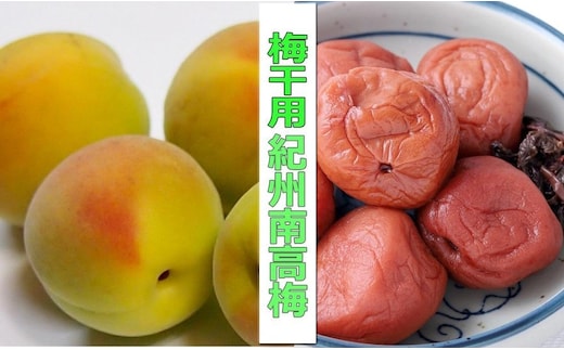［梅干・梅酒用］（4Lまたは3L－2Kg）熟南高梅＜2027年6月上旬～7月中旬発送予定＞フルーツ 果物 くだもの 食品 人気 おすすめ 送料無料［ART10］