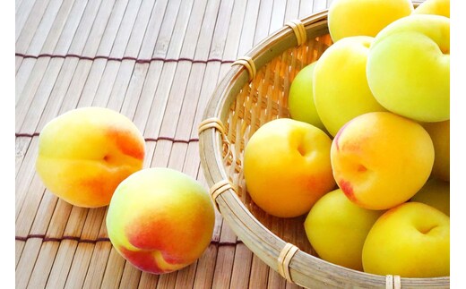 ［梅干・梅酒用］大玉4Lサイズ約10kg熟南高 生梅 赤秀品＜2027年6月上旬～7月中旬発送予定＞［ART02］