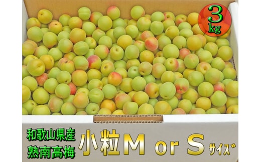 ［梅干・梅酒用］小粒（SまたはM－3Kg）熟南高梅＜2027年6月上旬～7月中旬発送予定＞フルーツ 果物 くだもの 食品 人気 おすすめ 送料無料［ART20］