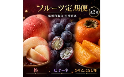 【7・8・10月 全3回】紀州和歌山産旬のフルーツセット（桃・ピオーネ・ひらたねなし柿）定期便 【魚鶴商店】【UT67】