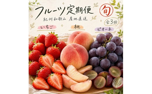 【2・7・9月 全3回】紀州和歌山産旬のフルーツセット（いちご・桃・ピオーネ）【UT95】