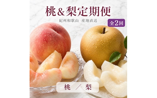 【全2回 定期便】 紀州和歌山産旬のフルーツセット（8月：桃約1.8kg・9月：梨約2kg） ［UT139］