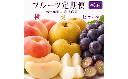 ［全3回 定期便］ 紀州和歌山産旬のフルーツセット（桃・梨・ピオーネ） ［UT142］
