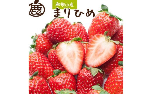 朝摘み完熟まりひめ約600g（300g前後×2トレイ）［和歌山ブランド苺まりひめ］［こだわりの土耕栽培のいちごを農家直送］［IKE101］