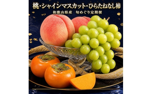 【7・8・10月 全3回】紀州和歌山産旬のフルーツセット（桃・シャイン・ひらたねなし柿）定期便 【魚鶴】【UT66】
