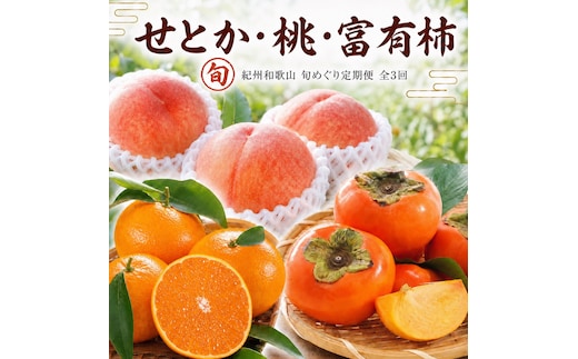 【3・7・11月 全3回】紀州和歌山産旬のフルーツセット（せとか・桃・富有柿） 定期便 【魚鶴】【UT72】