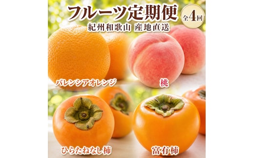 【7・8・10・11月 全4回】紀州和歌山産旬のフルーツセット（バレンシア・桃・ひらたねなし柿・富有柿）【UT81】