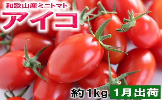 ［2027年1月出荷分］和歌山産ミニトマト「アイコトマト」約1kg（M・Lサイズおまかせ） ［TM263］