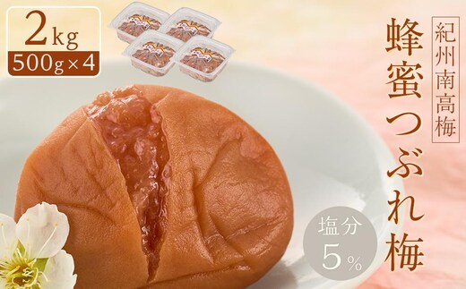 紀州南高梅 蜂蜜つぶれ梅 塩分5％ 2kg (500g×4) ［Kn23］