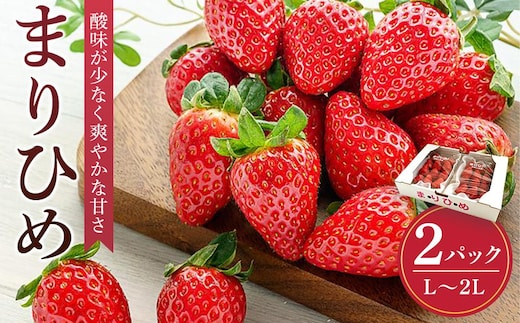 まりひめイチゴ L～2L 12粒～15粒×2パック［2027年1月中旬から発送］［先行販売］［KG7］