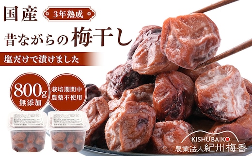 規格外品 無添加 栽培期間中農薬不使用 昔ながらの梅干し 紀州南高梅 塩のみで漬けたすっぱい梅干し 800g（400gパック×2個）塩分約23% 3年熟成品 N20-K ［KU8］