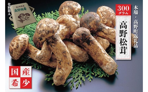 ［2026年発送分］香り・歯応え・味ともに最高級！希少な国産松茸「高野松茸」300g［化粧箱入］［MG93］