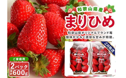 【ご家庭用（簡易包装）】和歌山県産まりひめ 1箱（2パック入り）【2026年2月お届け】［MG60］
