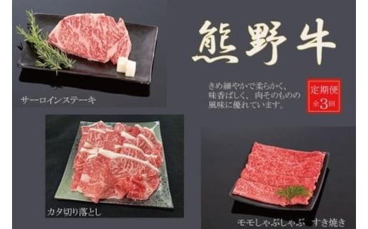 【定期便全3回】熊野牛 極上定期便セットB（1カ月に1回お届け）（全3ヵ月）