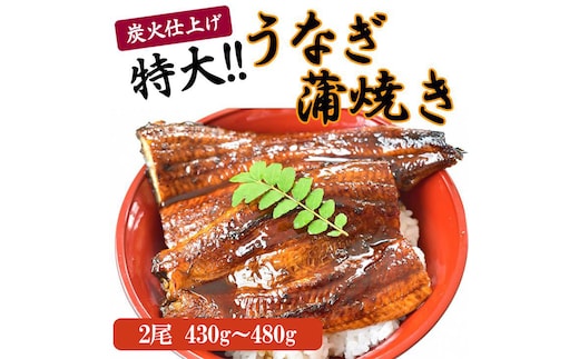 うなぎ蒲焼き2尾入り 430g～480g（蒲焼たれ4袋 山椒付き）［KS5］