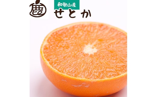 ［先行予約］厳選 せとか1kg+250g（傷み補償分）［柑橘・春みかんの王様］［光センサー選果・食べ頃出荷］［IKE60］