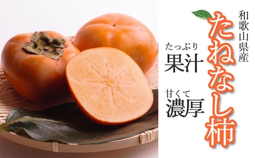 ［先行予約］厳選 たねなし柿 約2.5kg［刀根早生・平核無柿（ひらたねなしかき）］［カキ・種無柿・種無し柿・種なし柿・無核柿］［IKE95］