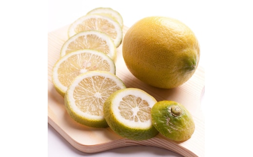 レモン2.5kg+250g（傷み補償分）【和歌山有田産】【防腐剤・WAX不使用、安心の国産レモン】［IKE127］