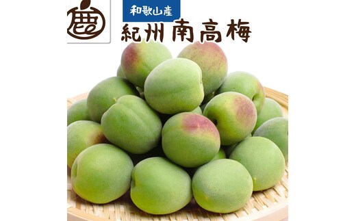 厳選 紀州南高梅(青梅)1kg+250g（傷み補償分）【梅干し・梅酒・梅ジュース】［IKE216］