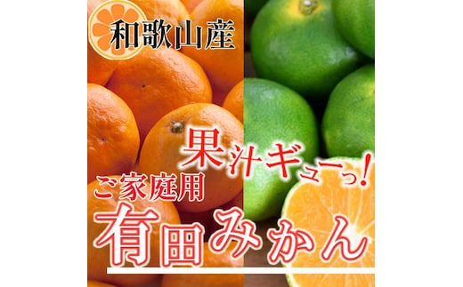 家庭用 有田みかん2.5kg+250g（傷み補償分）［2025年10月上旬から2026年1月下旬頃順次発送予定］［IKE248］
